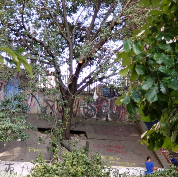 Meet your Posher, Carlos - Picture 1 of 1